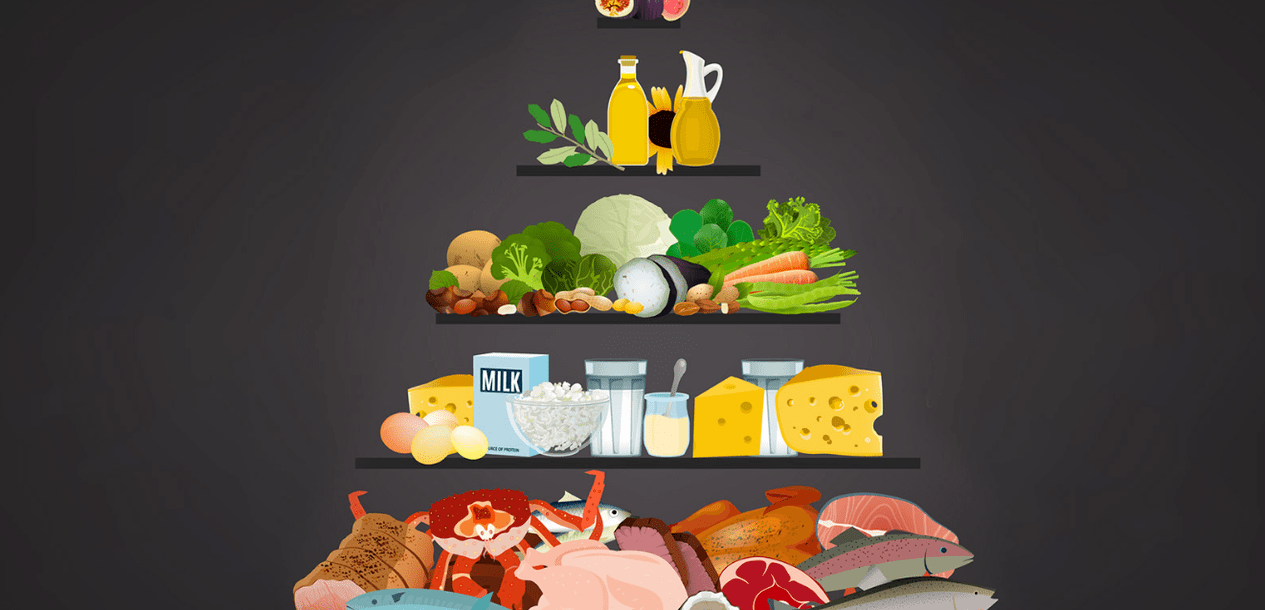 Baltymų dieta